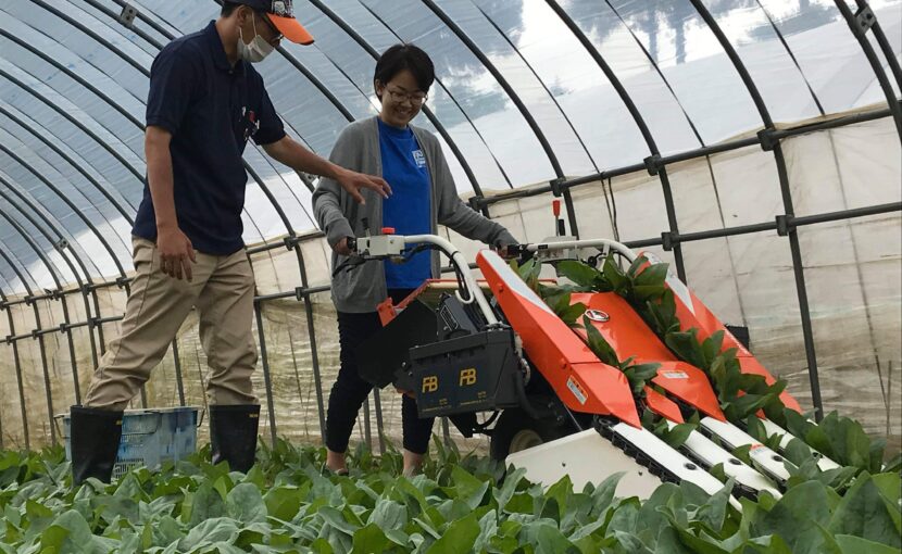 ほうれん草収穫機のデモを行いました 豊嶋農場